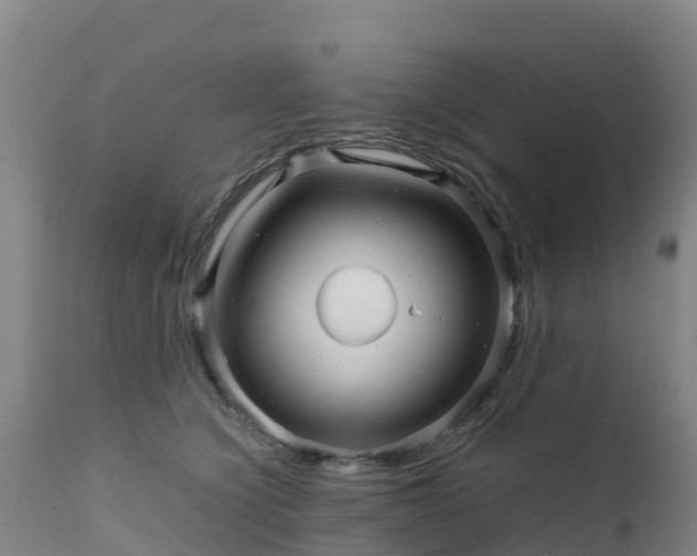 X0000111470564200907201139