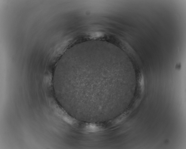 X0000111470565200907201139