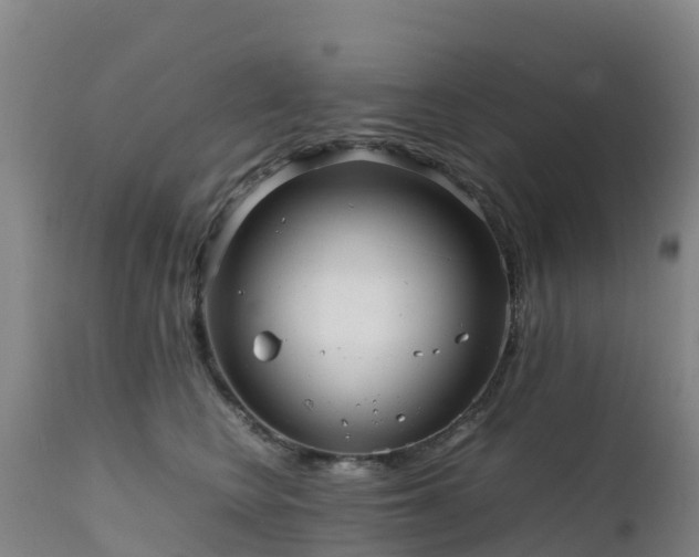 X0000111470566200907201139