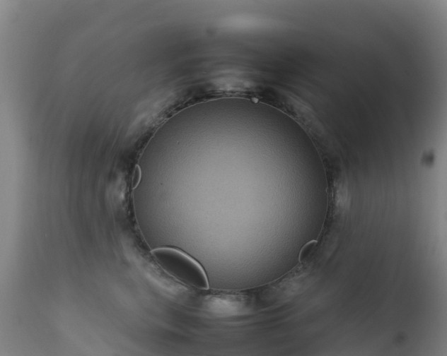 X0000111470567200907201139