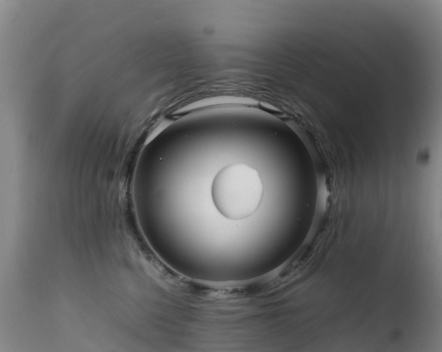 X0000111470568200907201139