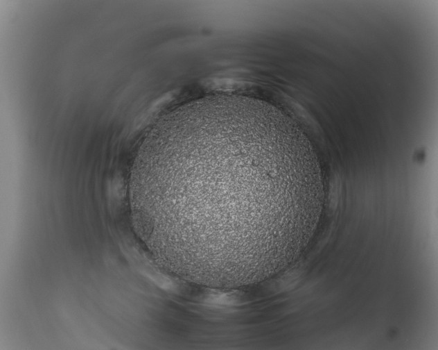 X0000111470569200907201139