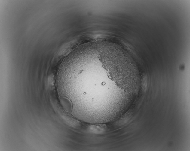 X0000111470571200907201139