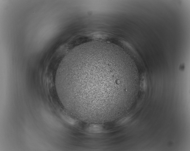 X0000111470573200907201139