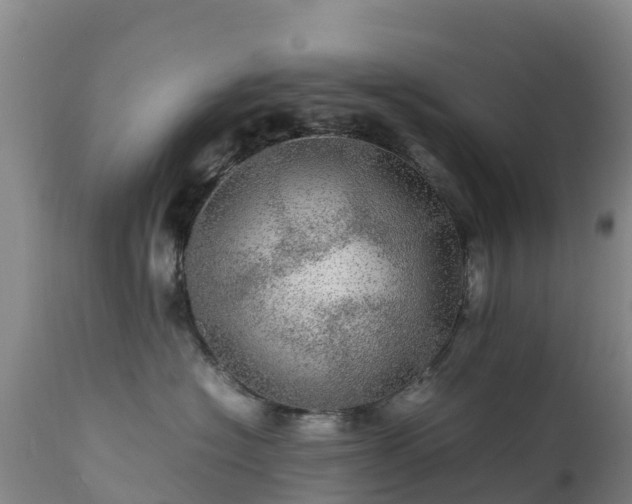 X0000111470574200907201139