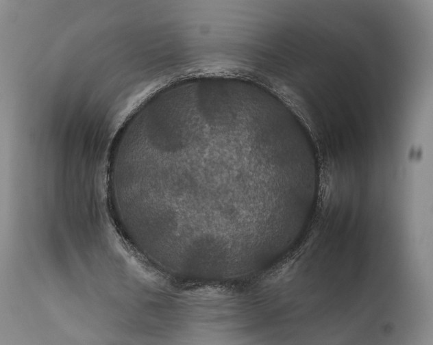 X0000111470578200907201139