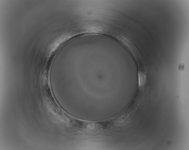 X0000111470579200907201139