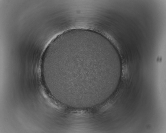 X0000111470580200907201139