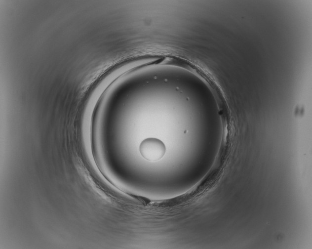 X0000111470581200907201139