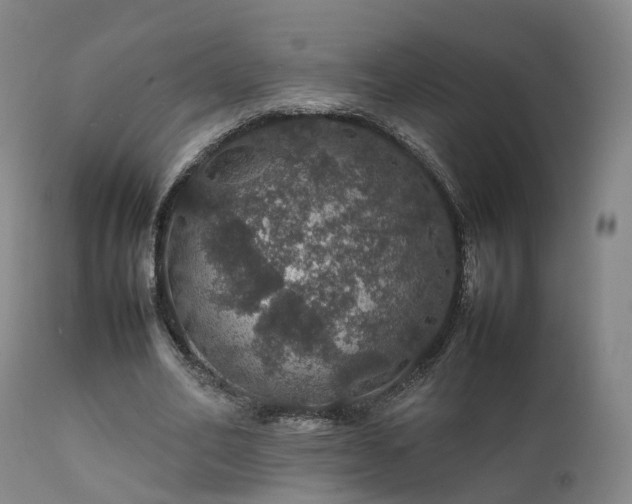 X0000111470582200907201139