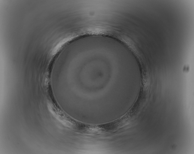 X0000111470583200907201139