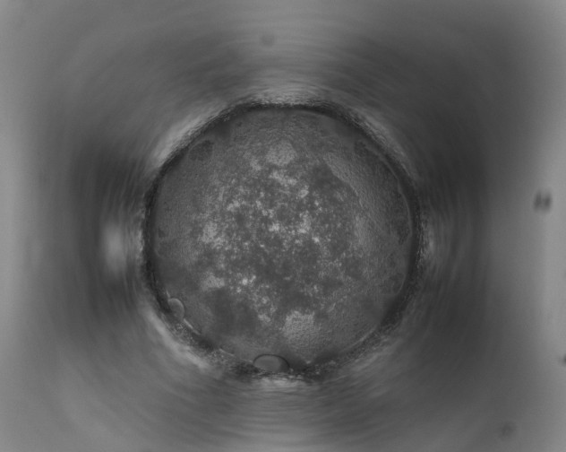 X0000111470586200907201139