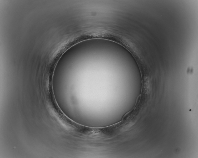 X0000111470589200907201139