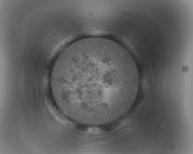 X0000111470591200907201139