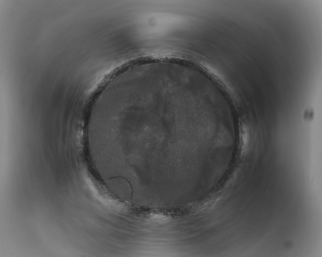 X0000111470592200907201138