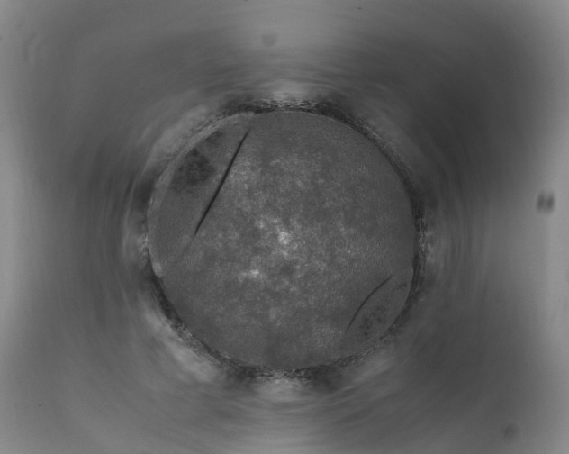 X0000111470593200907201138