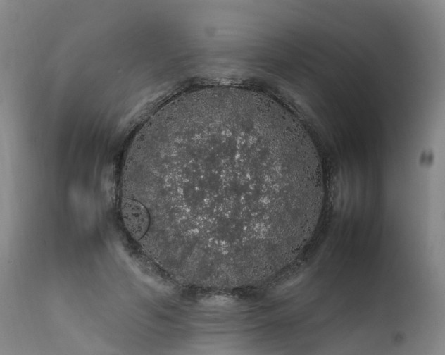 X0000111470594200907201138