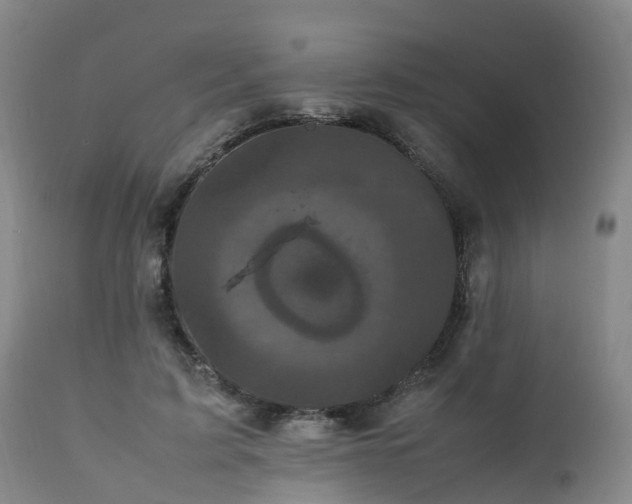 X0000111470595200907201138