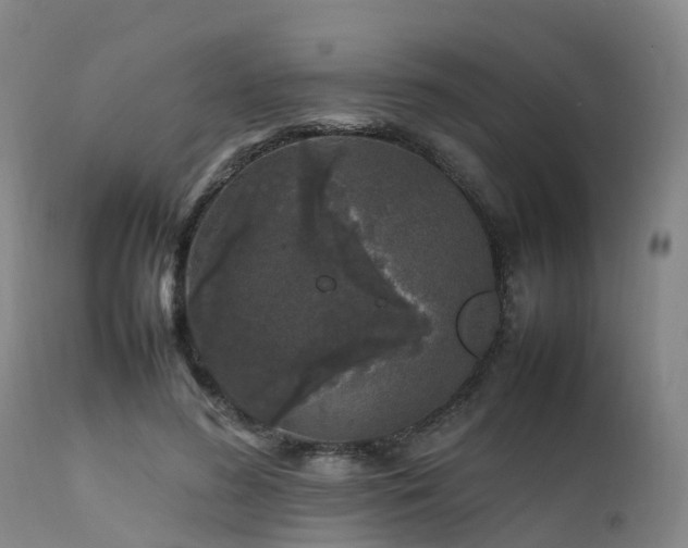 X0000111470596200907201138