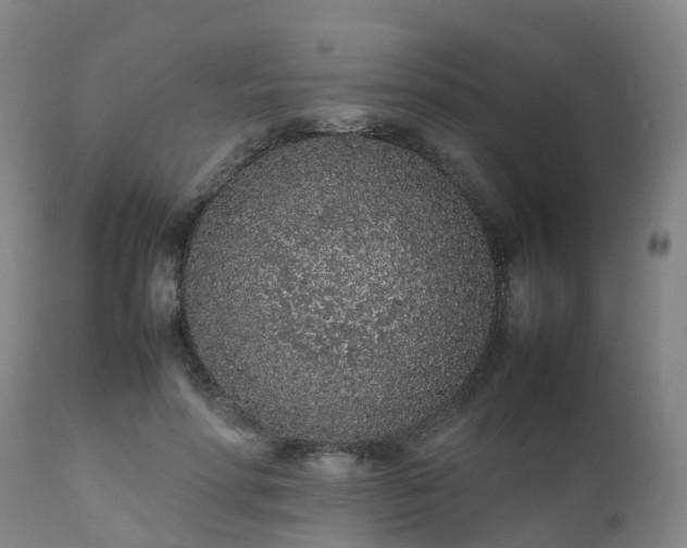 X0000111470598200907201138