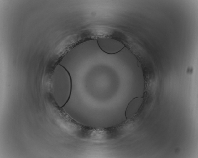 X0000111470599200907201138