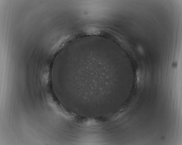 X0000111470600200907201138