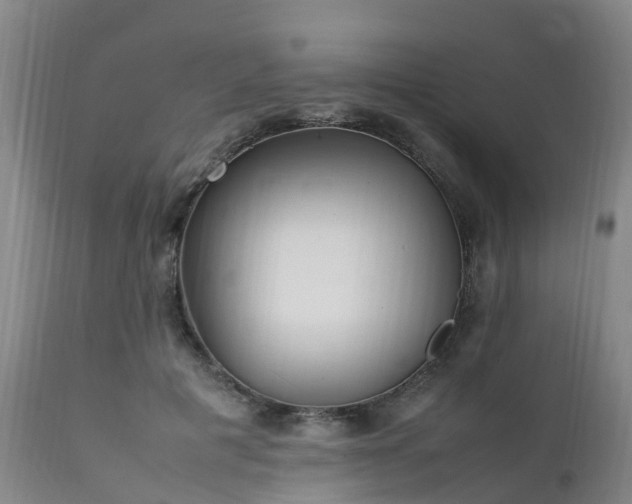 X0000111470601200907201138