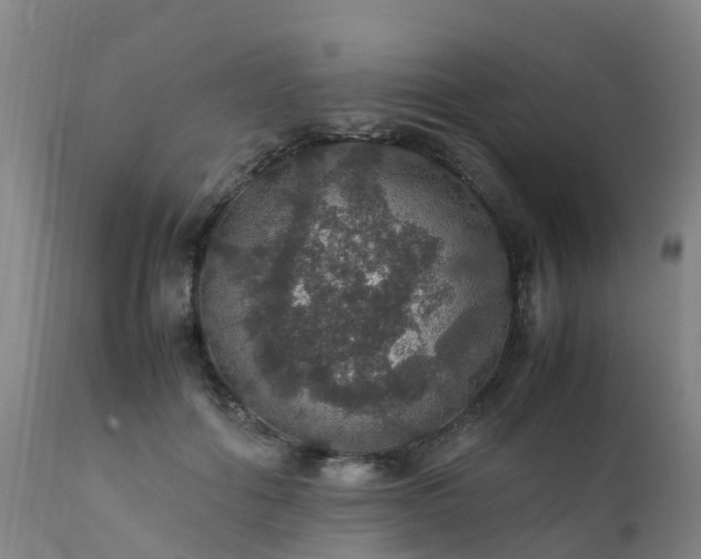 X0000111470602200907201138