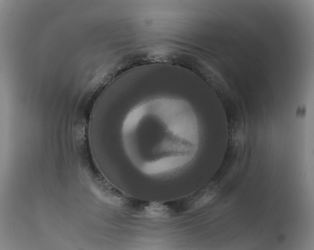 X0000111470603200907201138