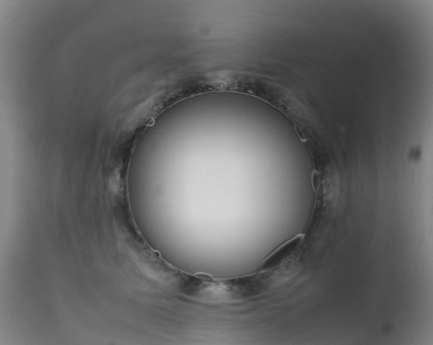 X0000111470611200907201138