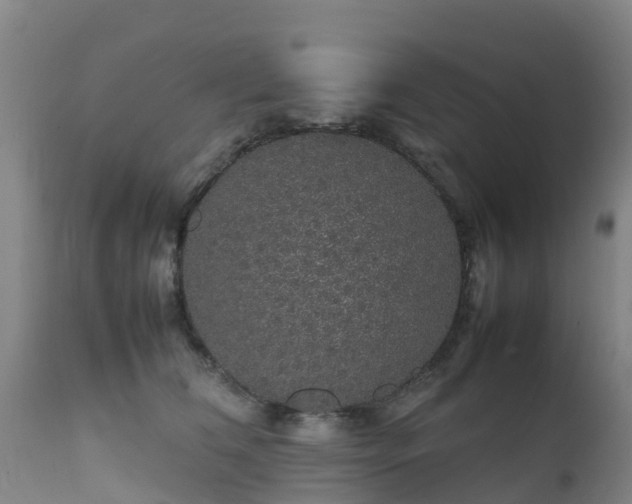 X0000111470612200907201138