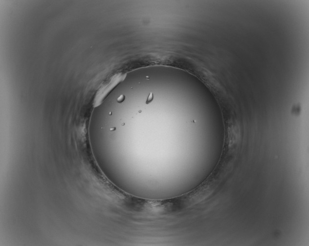 X0000111470613200907201138