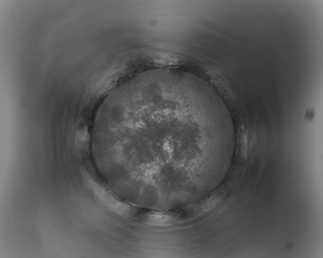 X0000111470614200907201138