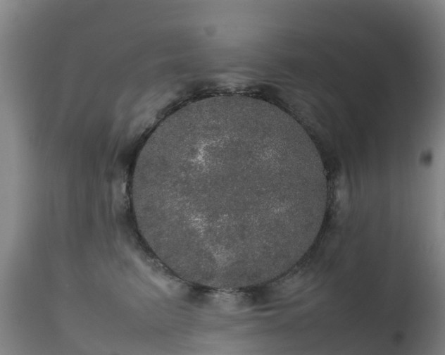 X0000111470615200907201138