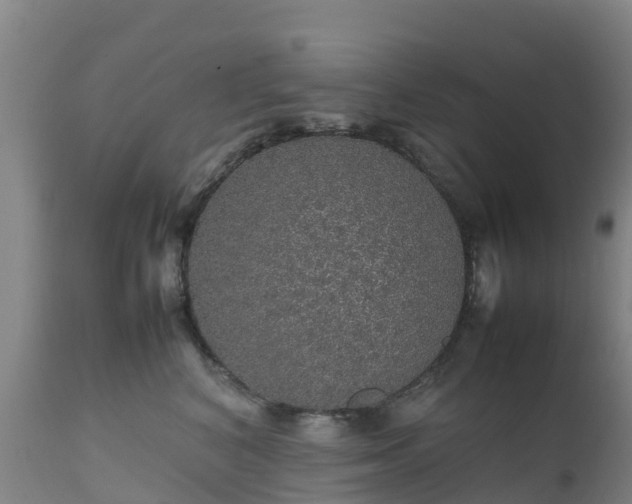 X0000111470616200907201138