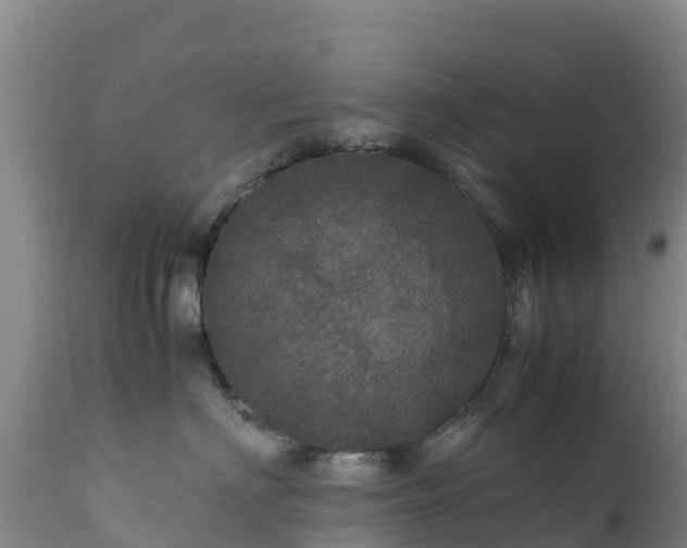 X0000111470622200907201138