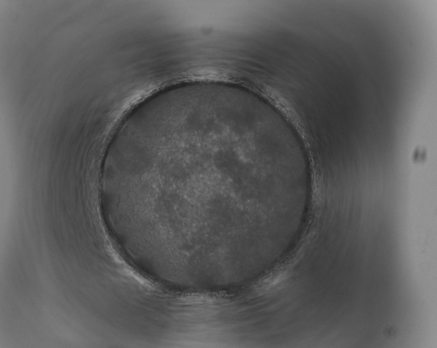 X0000111470625200907201137