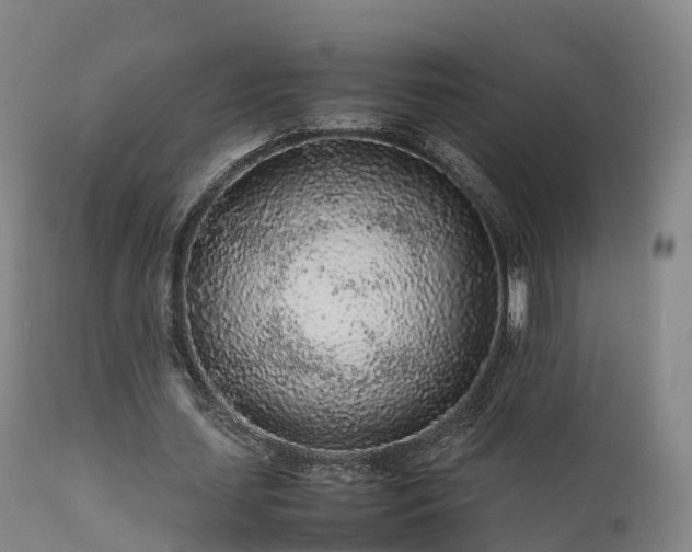 X0000111470627200907201137