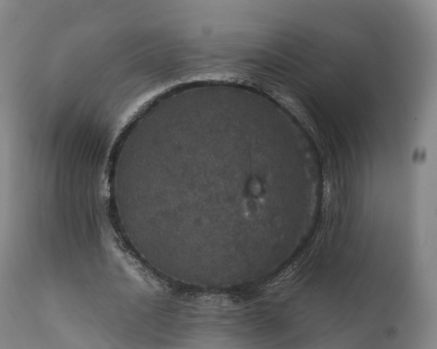 X0000111470628200907201137