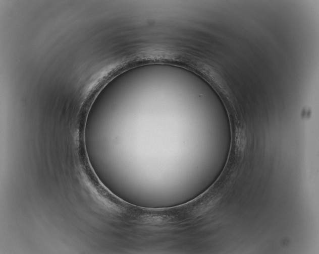 X0000111470629200907201137