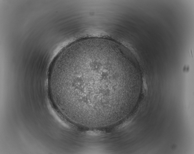 X0000111470630200907201137