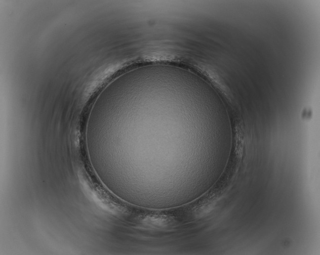 X0000111470631200907201137