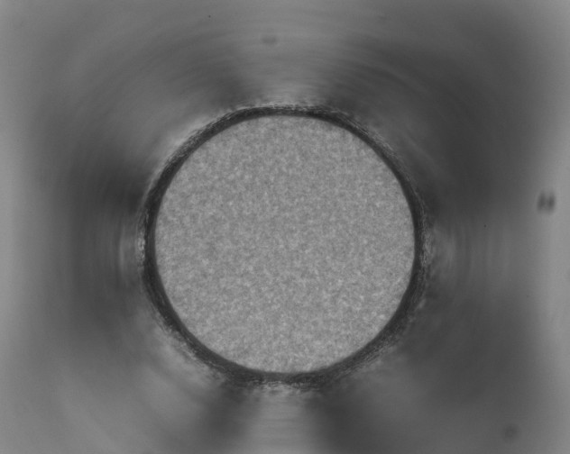 X0000111470632200907201137