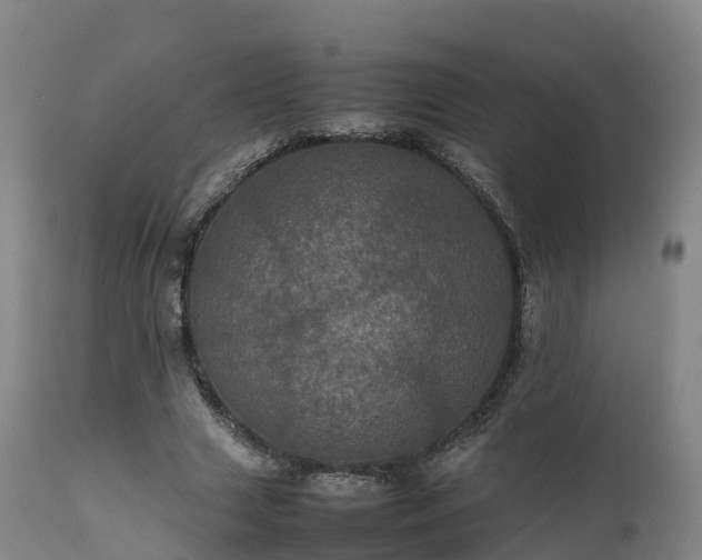 X0000111470633200907201137