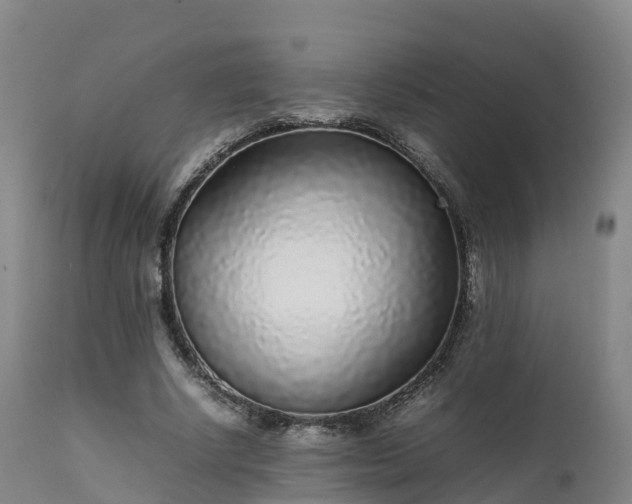 X0000111470634200907201137