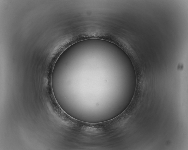 X0000111470635200907201137