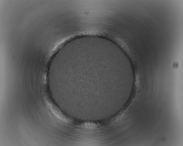 X0000111470636200907201137