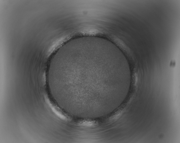 X0000111470638200907201137