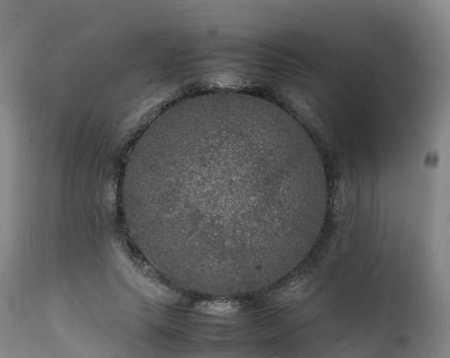 X0000111470639200907201137