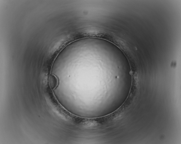 X0000111470642200907201137